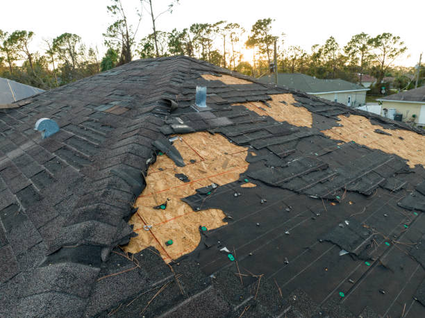 Best Asphalt Shingle Roofing  in Town Line, NY